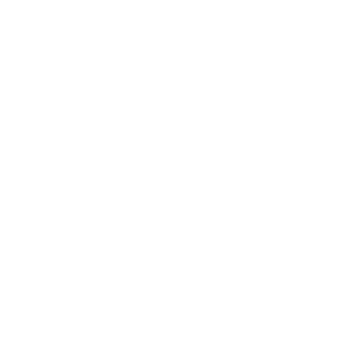 dfb-logo